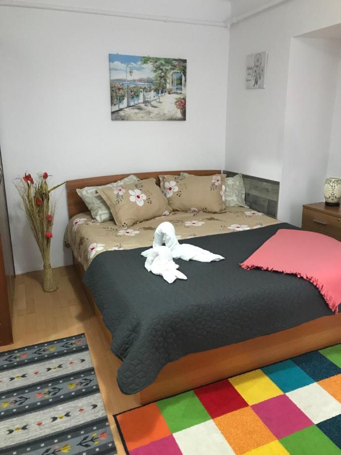 The Charming One Apartment Brasov Ngoại thất bức ảnh
